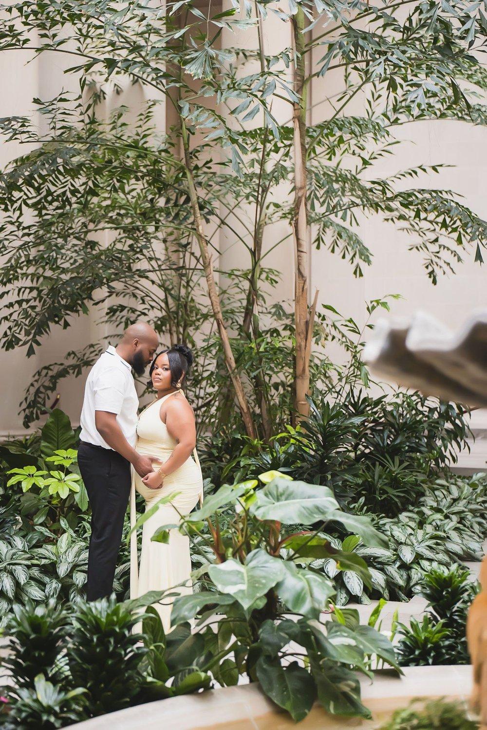 carousel-hero-element image-6